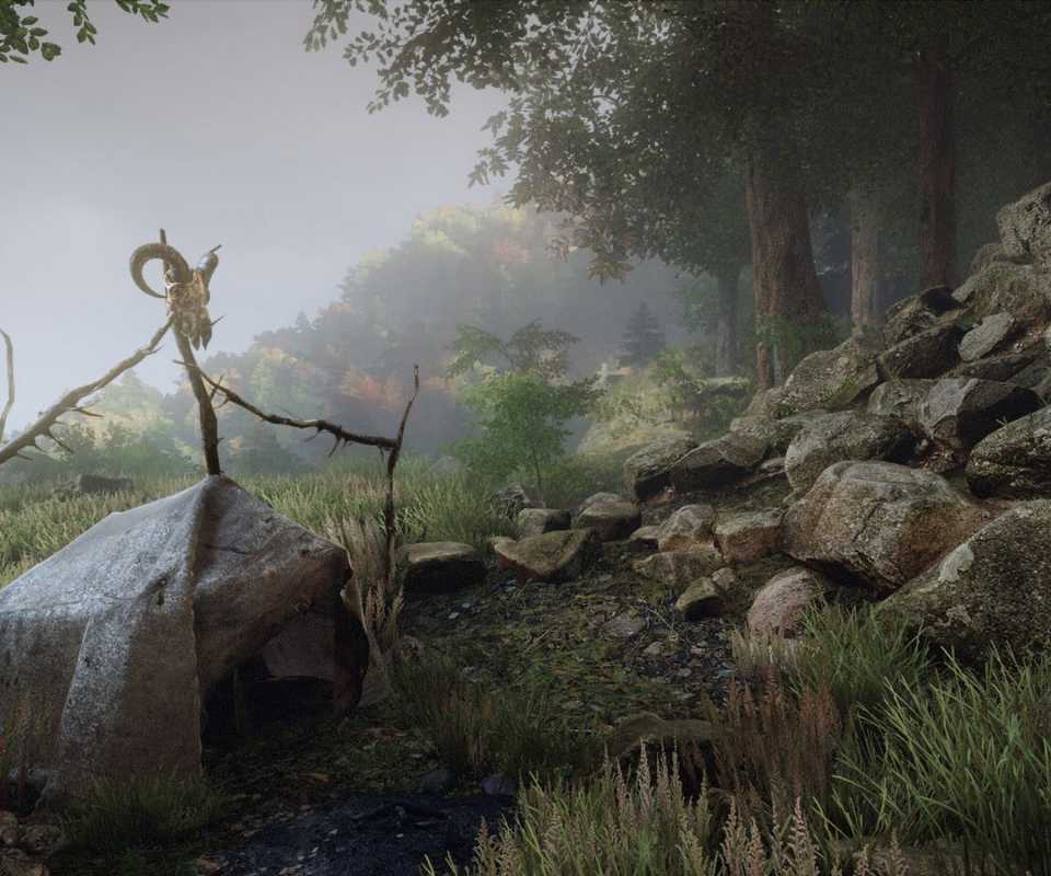 The Vanishing Of Ethan Carter screenshot tent and skull (1)