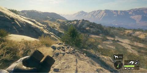 theHunter Call of the Wild (3)