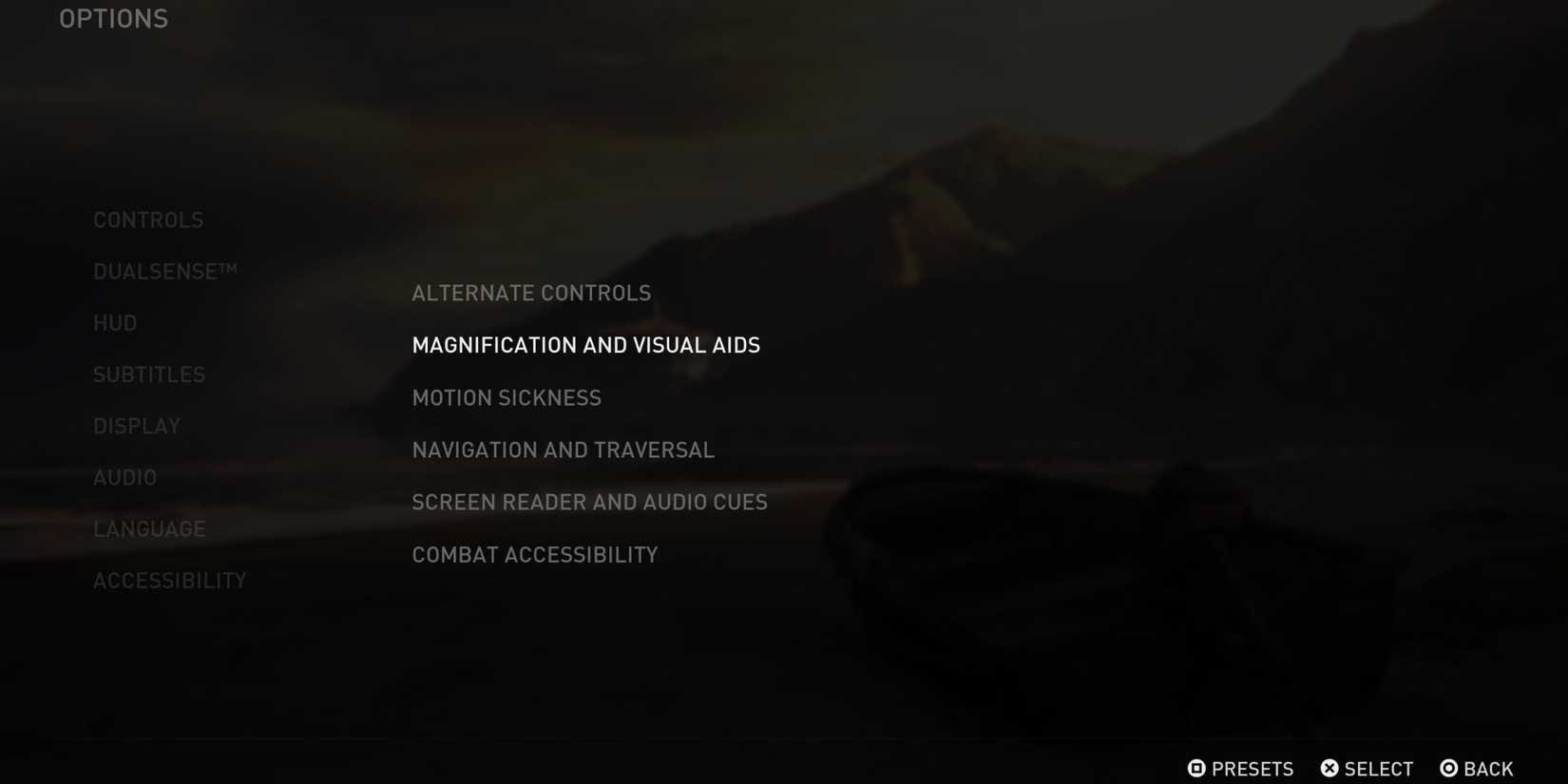 tlou 2 accesibility options