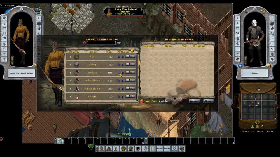 Ultima Online In Game Screenshot 2