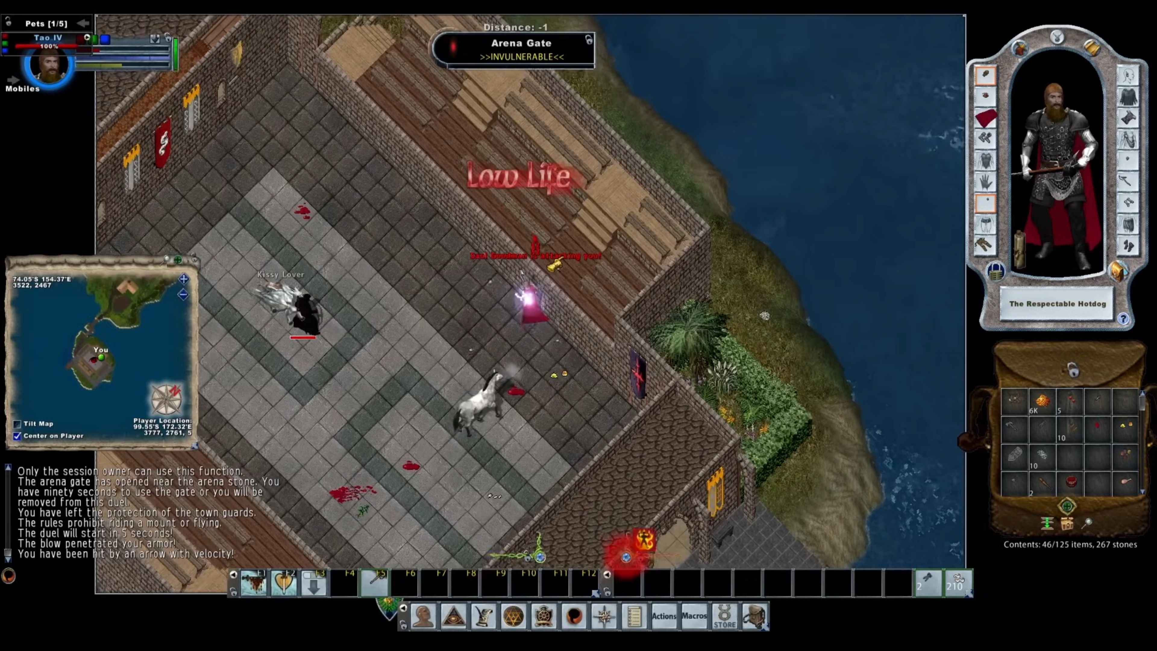 Ultima Online In Game Screenshot 4