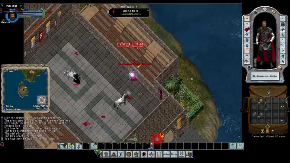 Ultima Online In Game Screenshot 4
