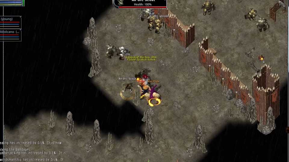 Ultima Online In Game Screenshot 5