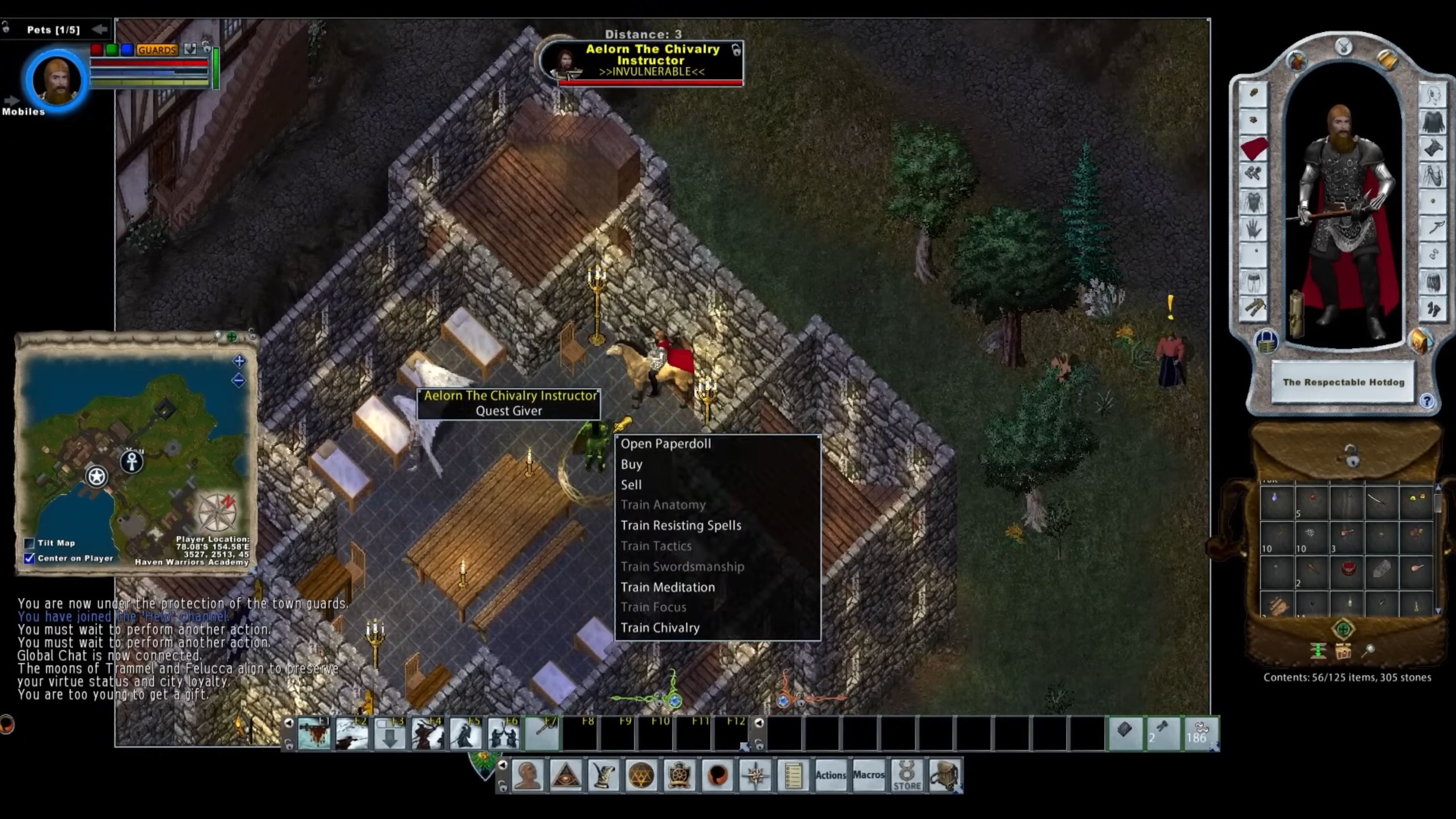 Ultima Online In Game Screenshot 6