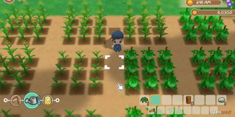 Character standing amidst lush crops, ready to tend to a rural farm in Story of Seasons
