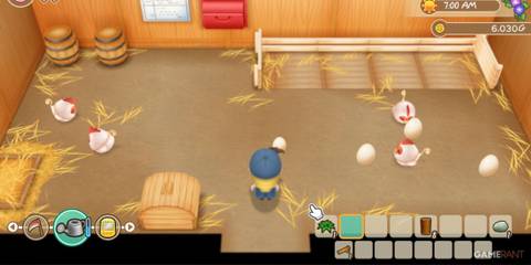 Chickens in a cozy barn, with a character collecting eggs for farming life in Story of Seasons