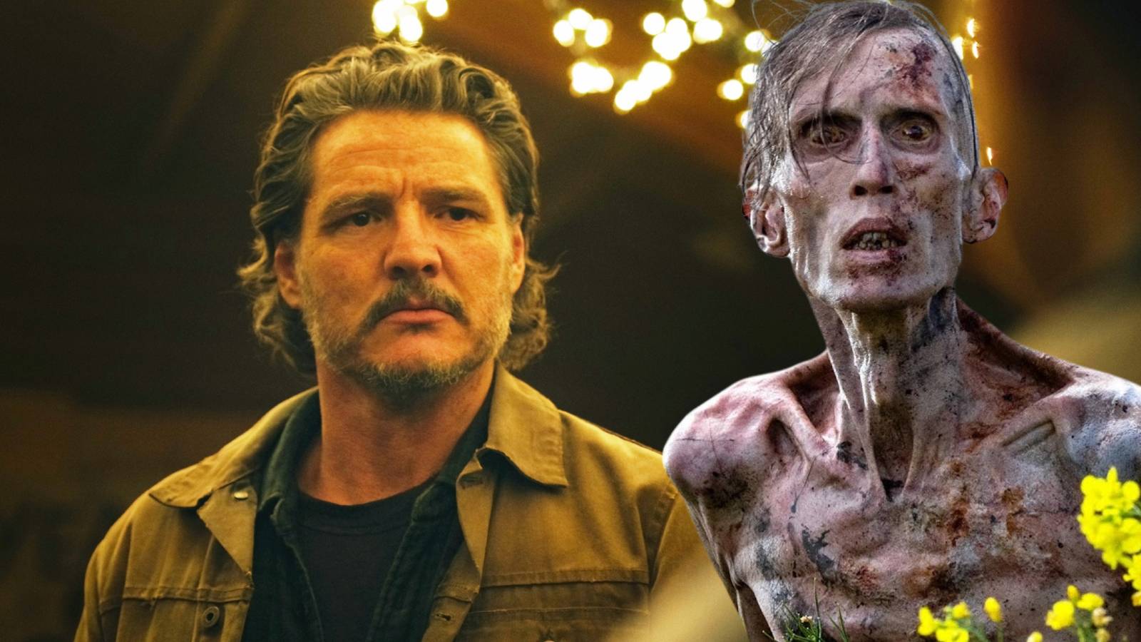 Last of Us & 28 Days