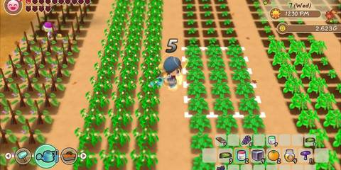 Farmer in Story of Seasons_ Friends of Mineral Town in the fields with a watering can