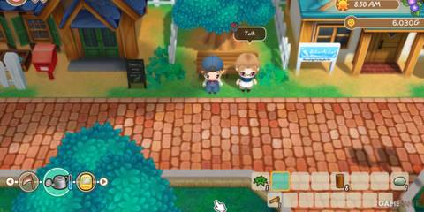 Character talking to a local villager, building relationships in a rural town in Story of Seasons