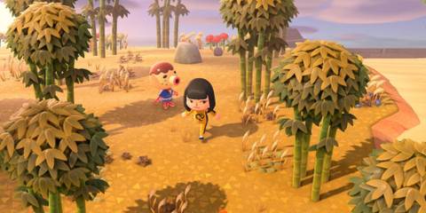 Running between bamboo in Animal Crossing: New Horizons