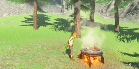 Link cooking in The Legend of Zelda: Breath of the Wild