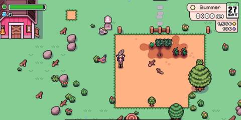 A player standing on a field holding a feather in Fields of Mistria