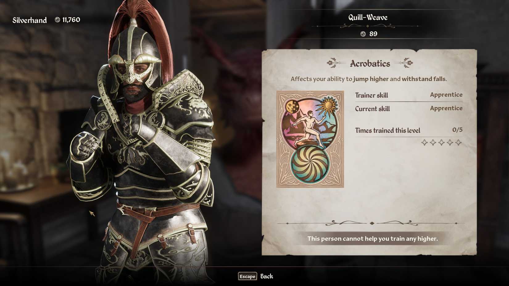 using an acrobatics trainer