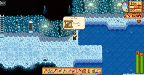 Where To Catch Ice Pip in Stardew Valley 