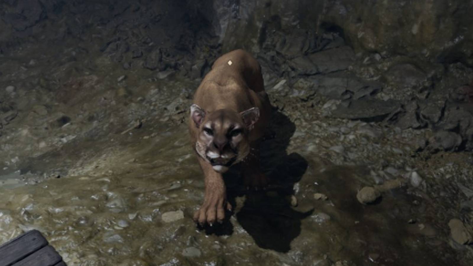 Where to Get Lion Pelt in The Elder Scrolls 4 Oblivion Remastered feature image