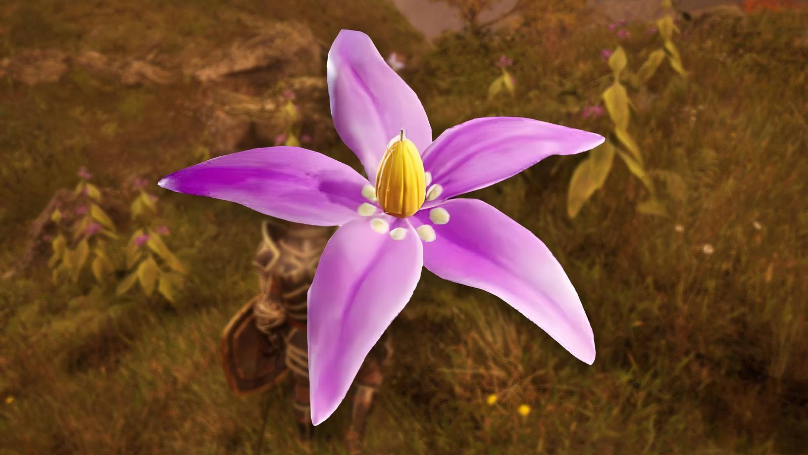 where-to-get-nightshade-in-elder-scrolls-iv-oblivion-remastered