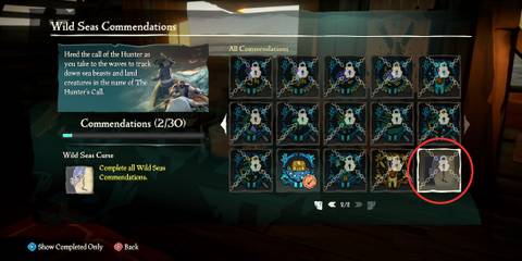 Wild Seas curse in Sea of Thieves