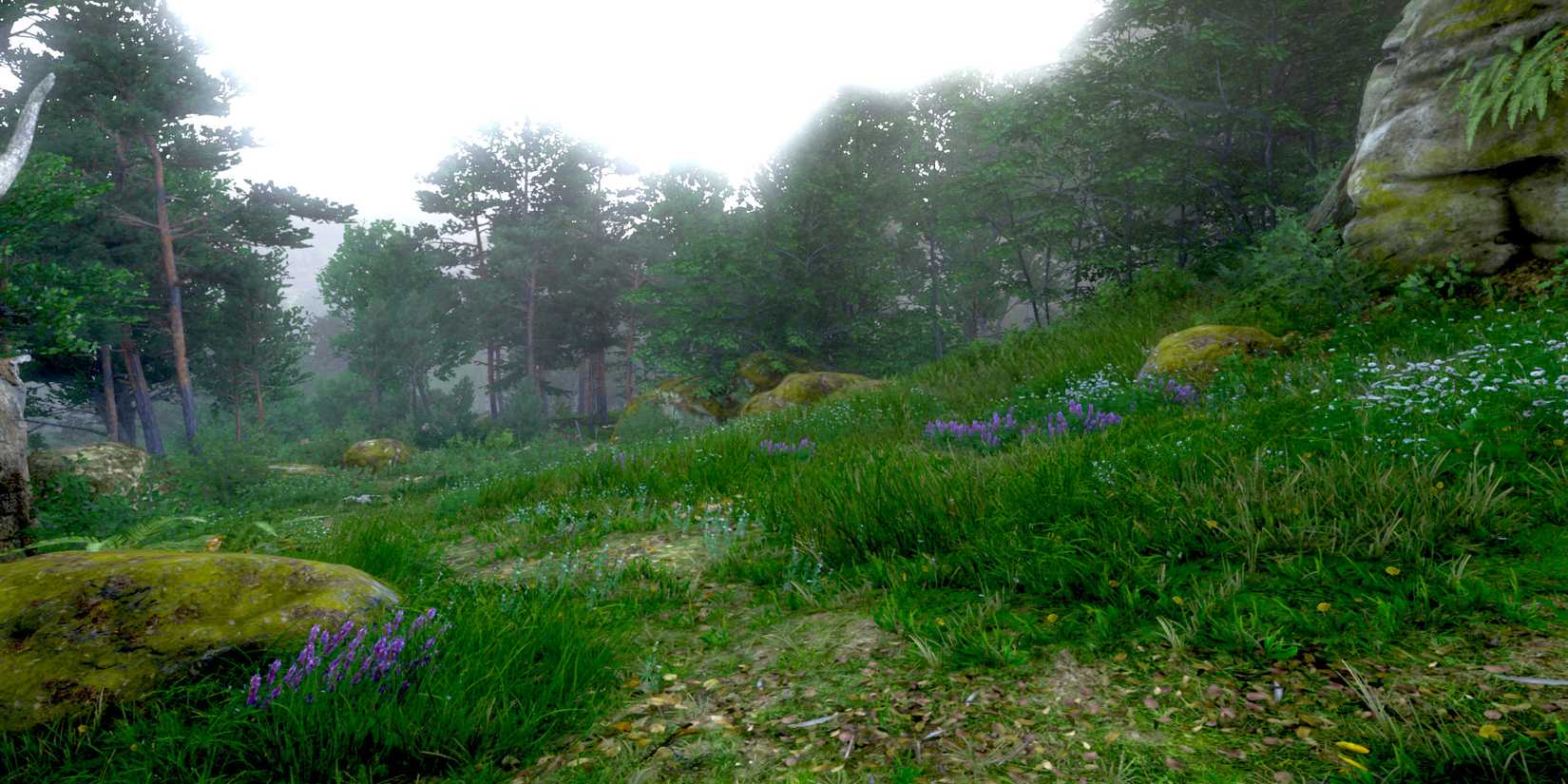 Woodland Garden in KCD2-1