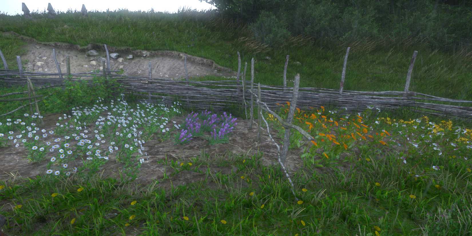 Woodland Garden Tosky Region KCD2