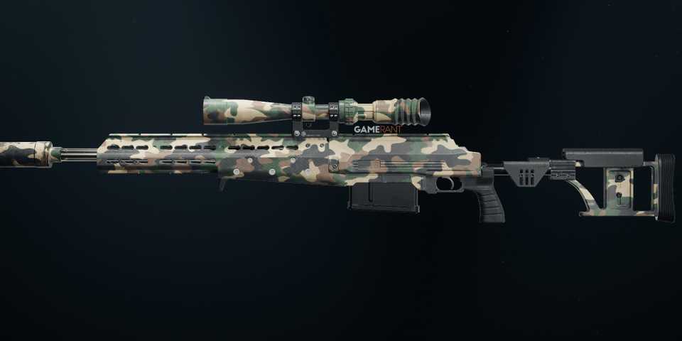 Woodland HDR in Black Ops 6 & Warzone