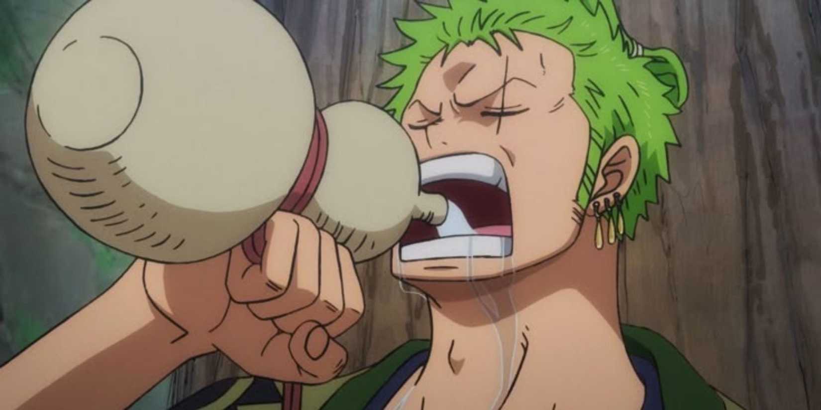 Zoro drinking Sake in Wano - One Piece