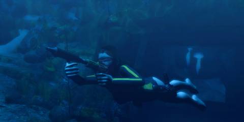 Firing a harpoon underwater in Tomb Raider Underworld