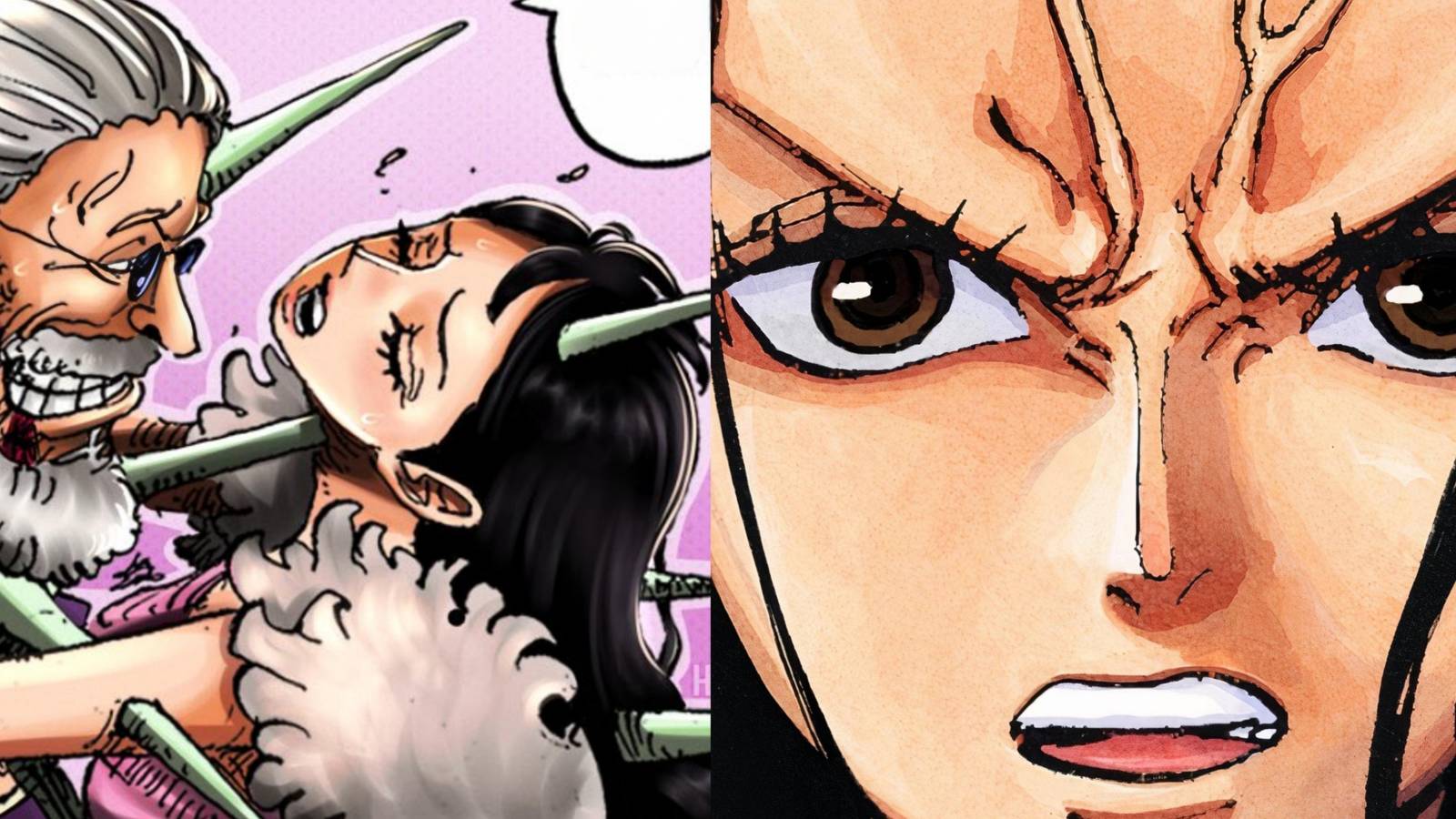 Featured One Piece: Oda's Decision To Not Give Robin Haki Doesn't Make Sense