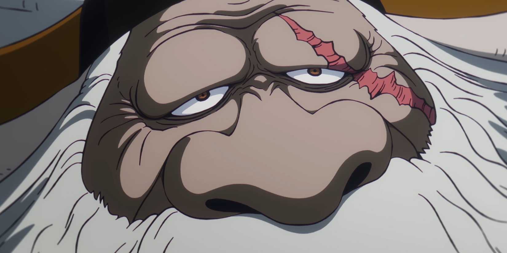 Saint Jaygarcia Saturn from one piece