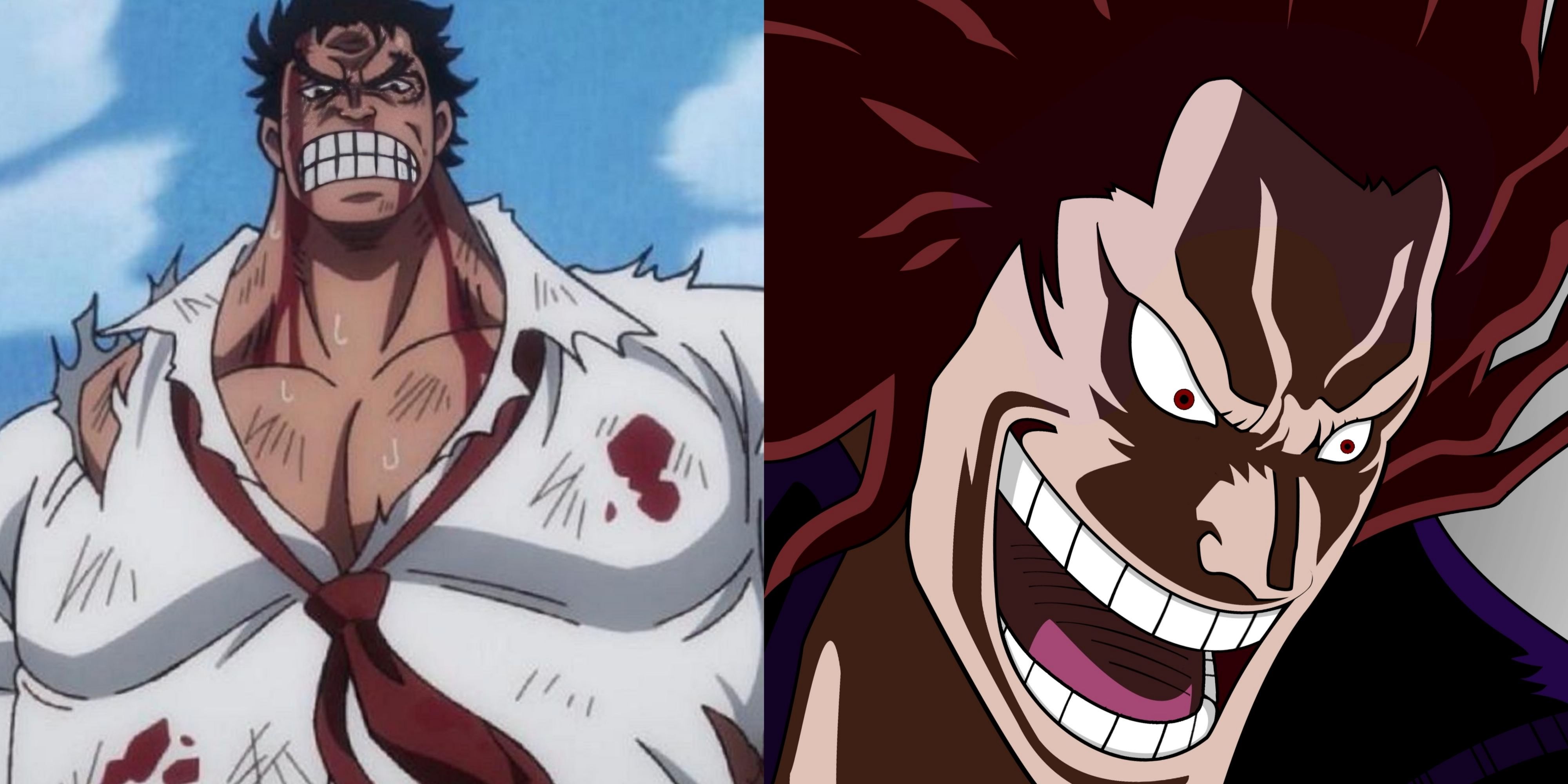 Selected One -Piece Anime will reveal new members of the Rocks Pirates