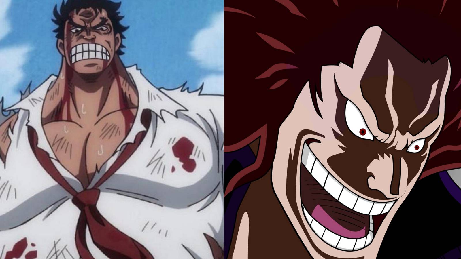 Featured One Piece Anime Will Reveal New Members Of The Rocks Pirates
