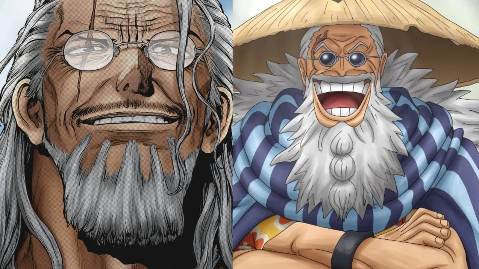 Featured One Piece: The Biggest Difference Between Scopper Gaban And Silvers Rayleigh, Explained