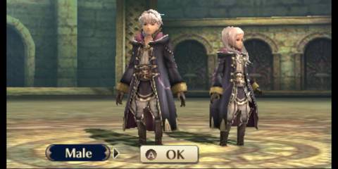A Key Frame From Fire Emblem Awakening Showing A Player Choosing Between A Male & Female Version Of Their Character