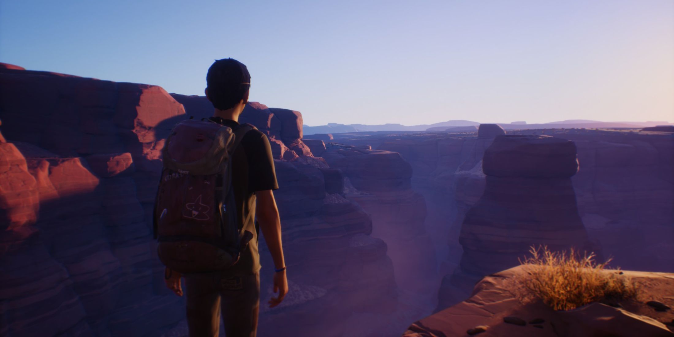 A Key Frame From Life Is Strange A Character Looking Out Over A Ravine