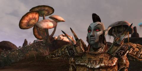 A Key Frame From The Elder Scrolls Morrowind Showing A Dark Elf Character Gazing Off Into The Distance