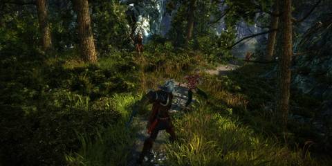 A Key Frame From The Witcher 2 Showing The Player In A Combat Scenario Within A Wooded Environment