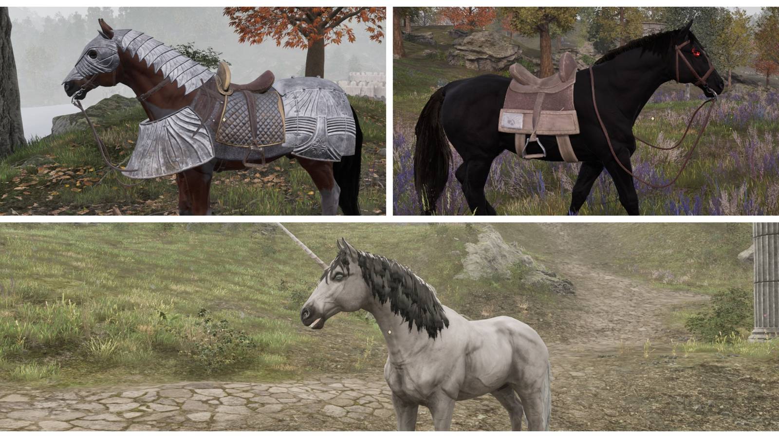 all horses oblivion remastered