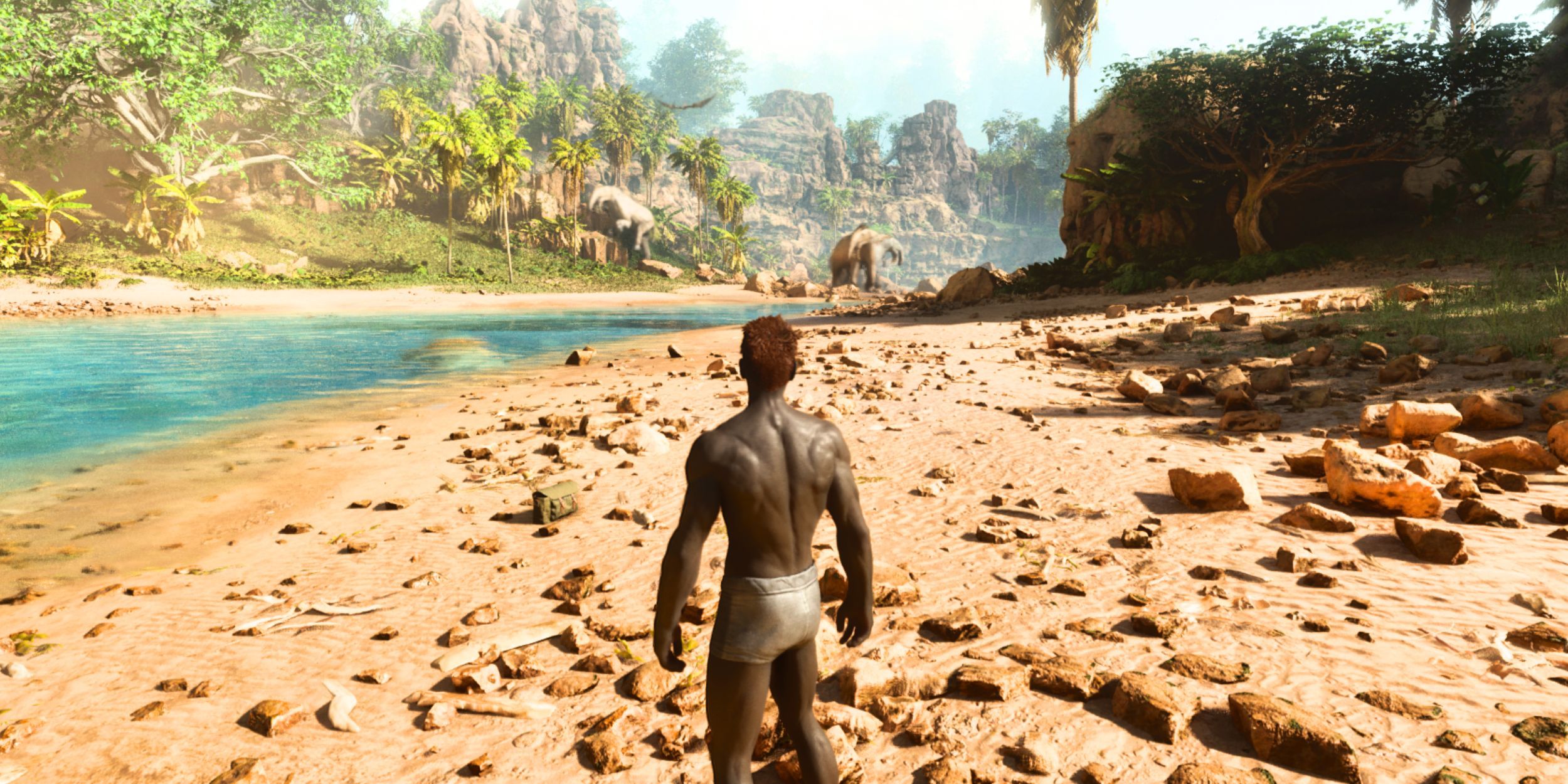 The ARK survival has gone
