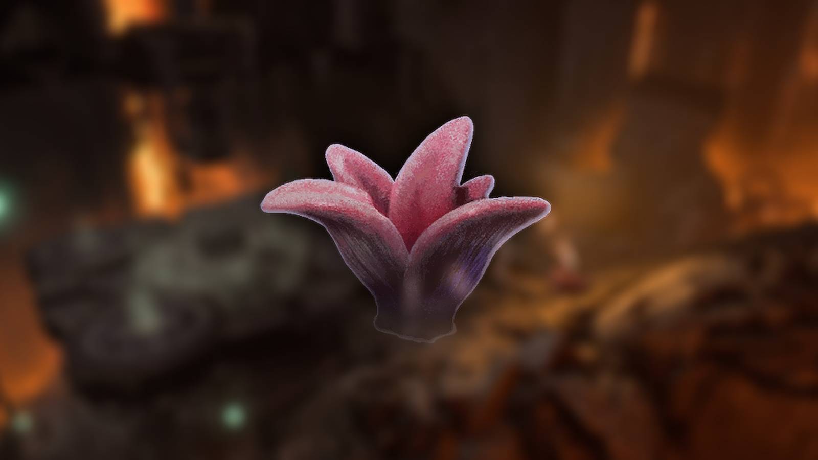 BG3 Tongue of Madness Location