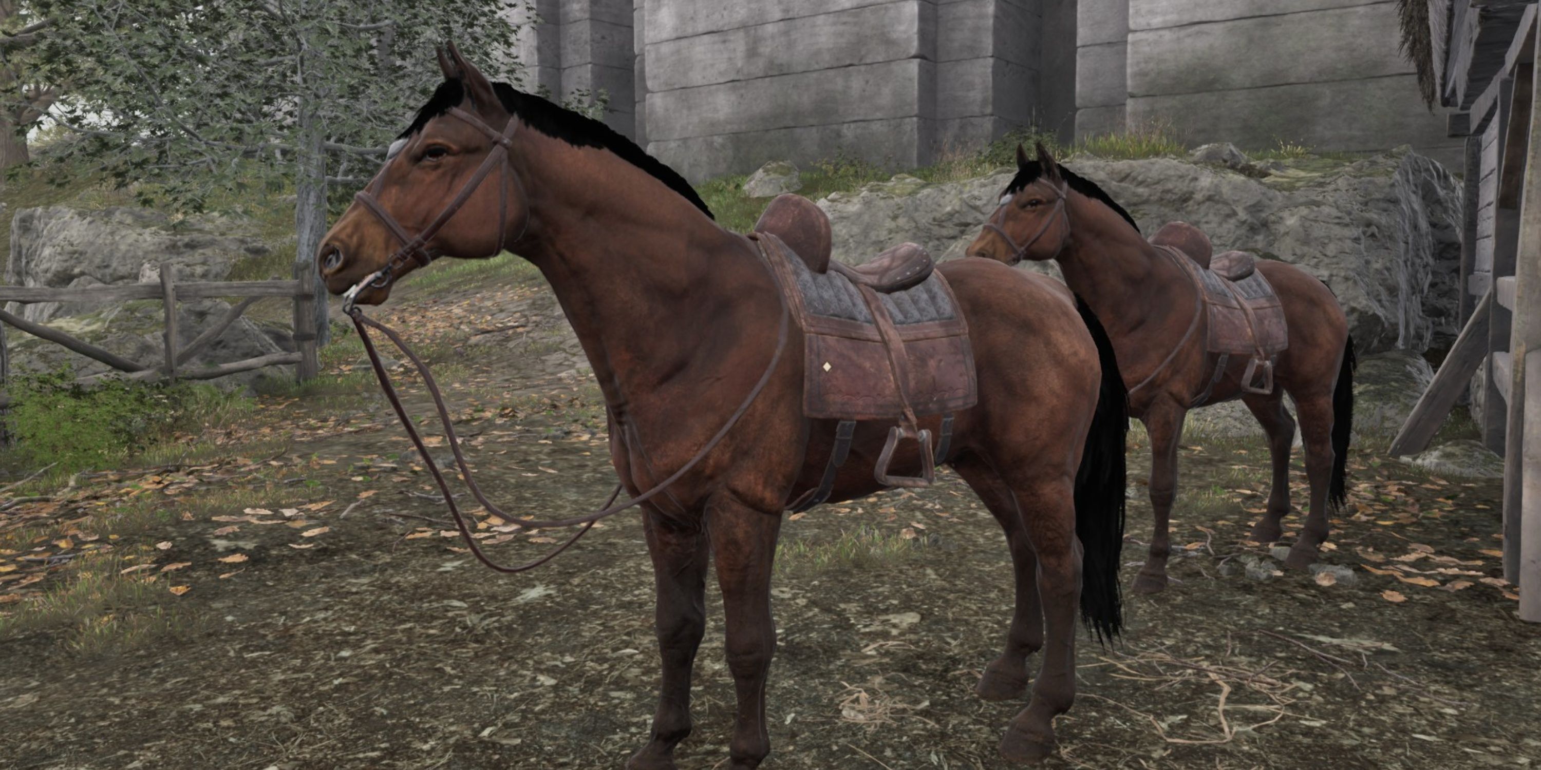 Bay Horse