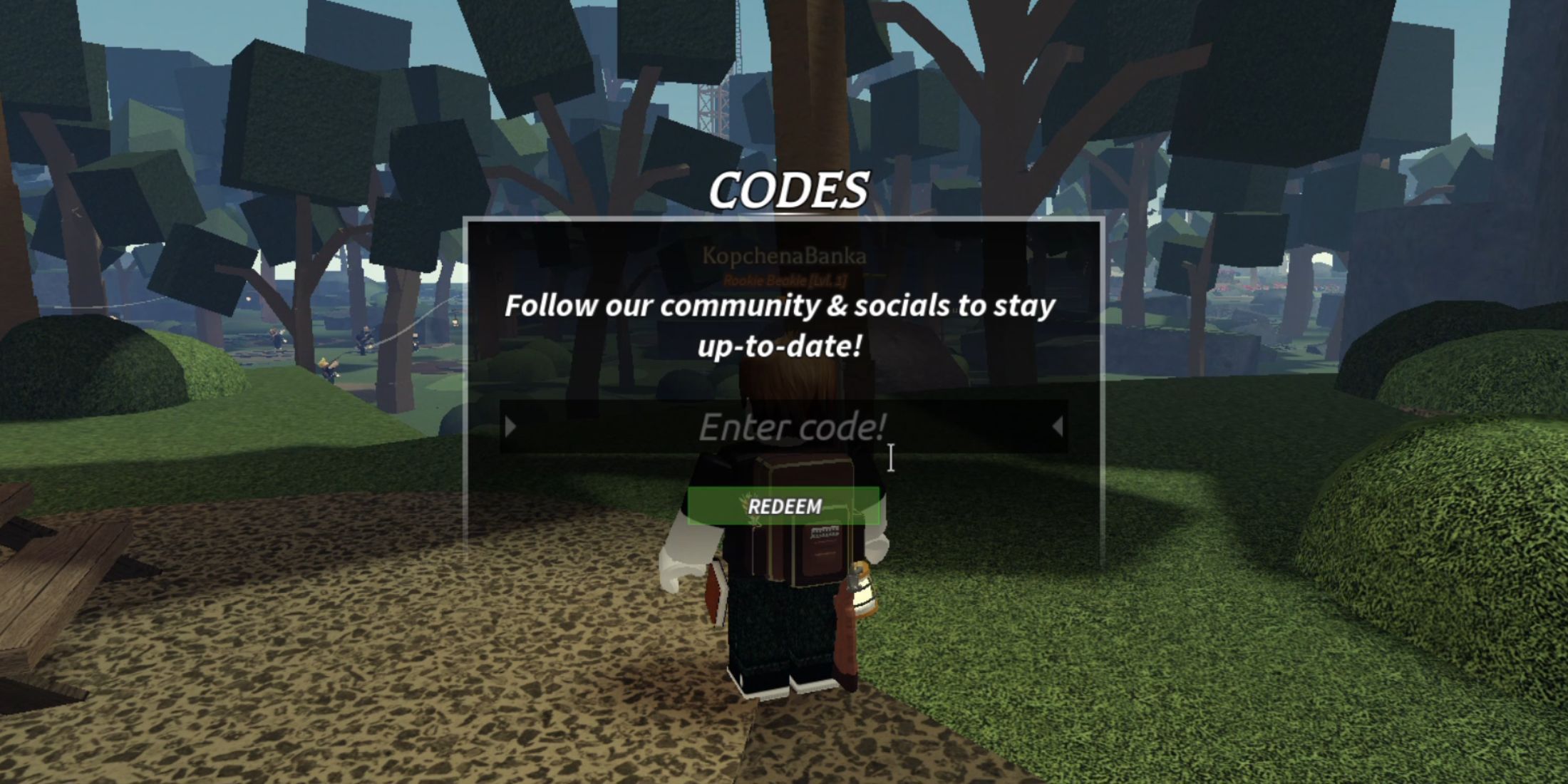 Code tab