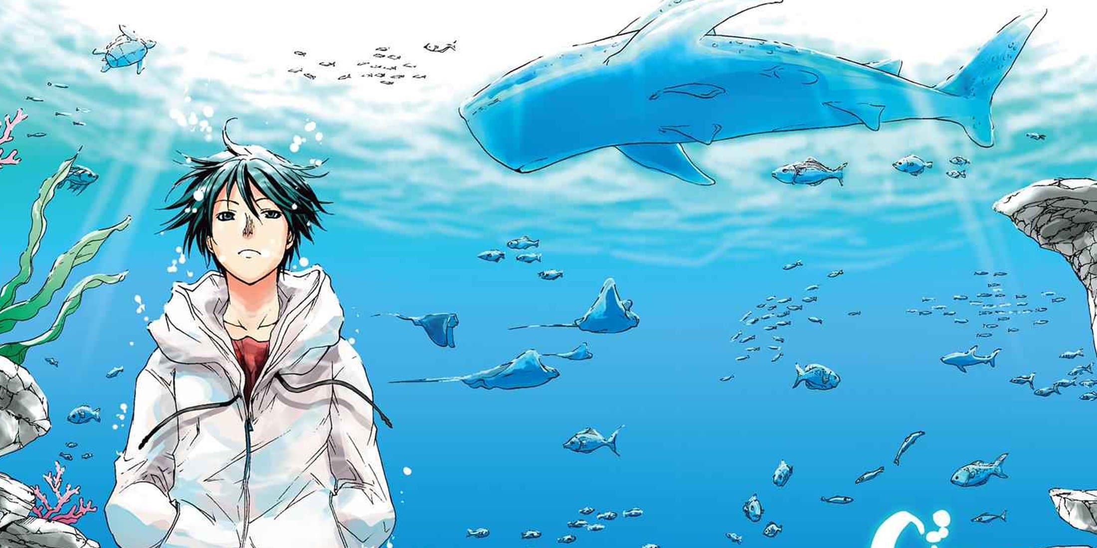 Grand Blue Dreaming Season 2 Episode 1 Release Date & Where to Watch