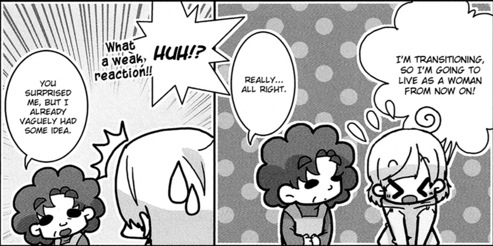 Best Trans Manga- The Bride Was a Boy