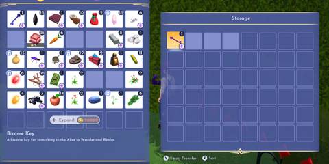 Bizarre Key in Disney Dreamlight Valley Wonderland Realm