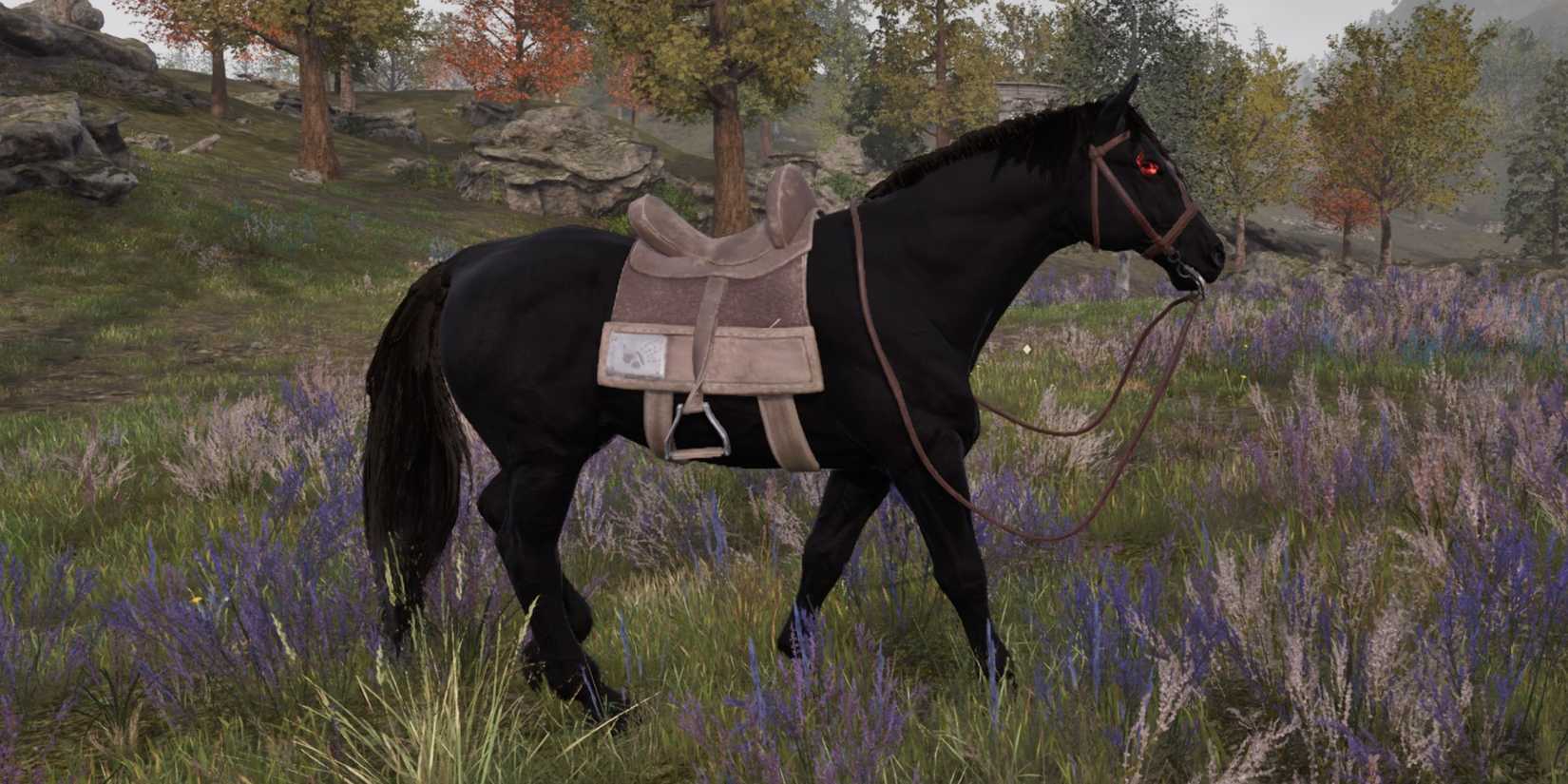 Black Horse