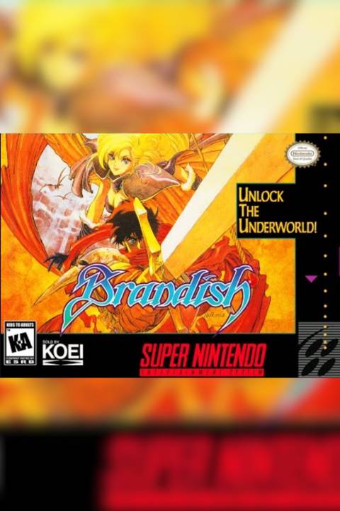 Brandish video game cover art tag