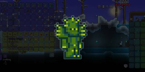 Cactus Armor