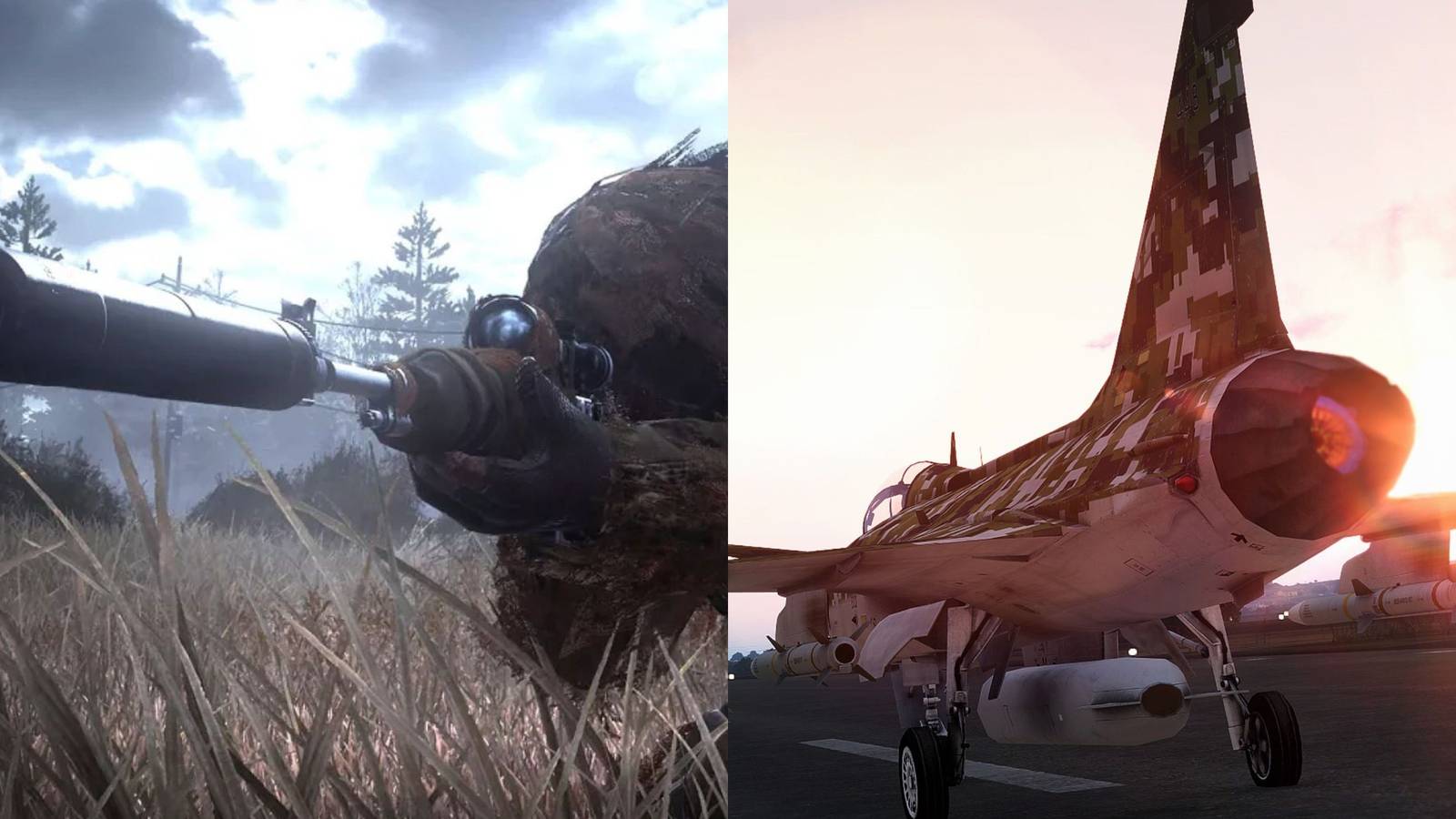 Call of duty modern warfare and Arma 3