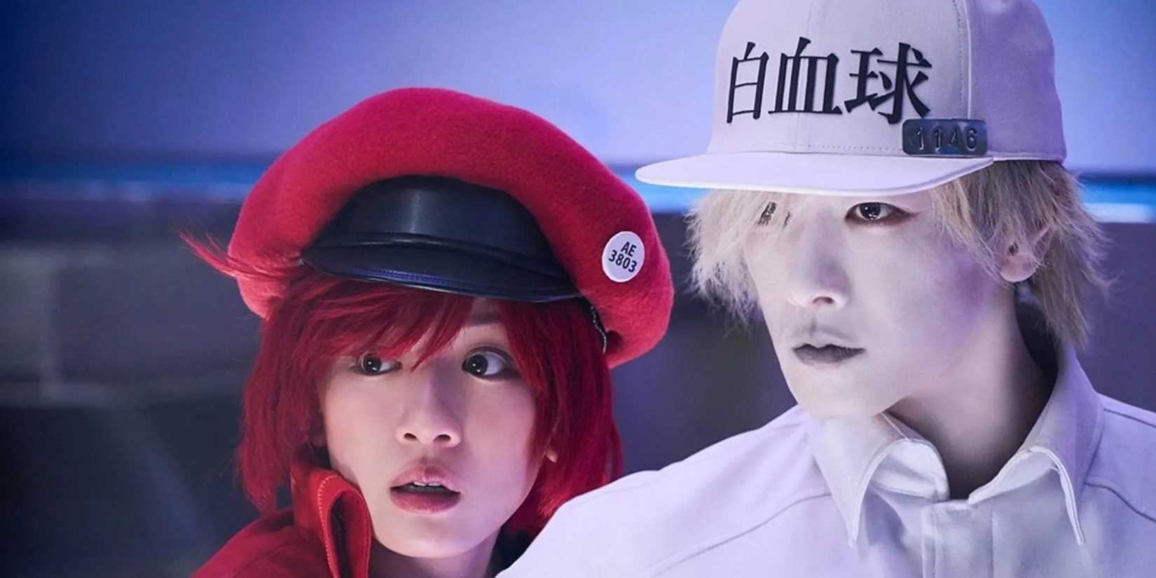 Cells at work live action red and white blood cell