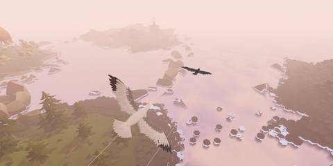 Chasing an other bird in Feather