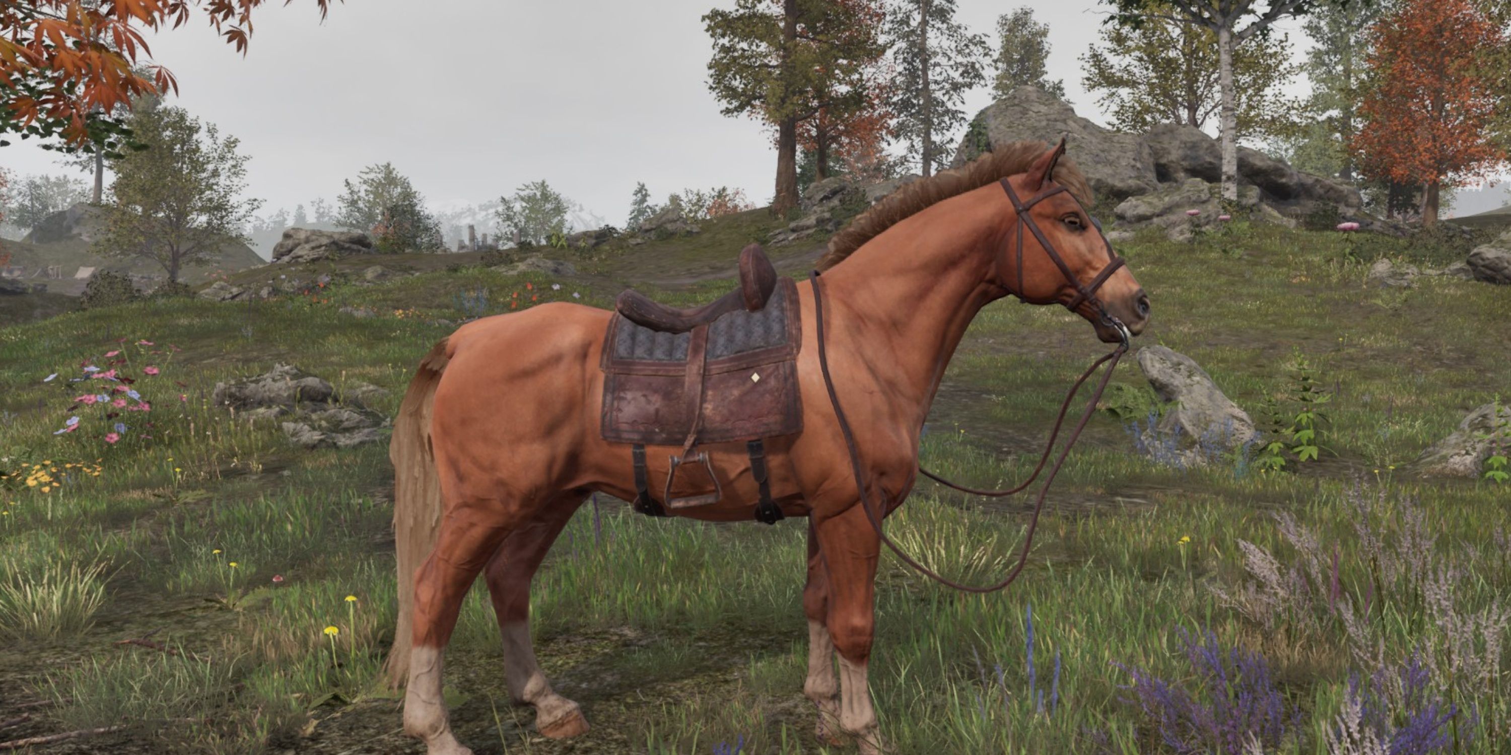 Chestnut Horse